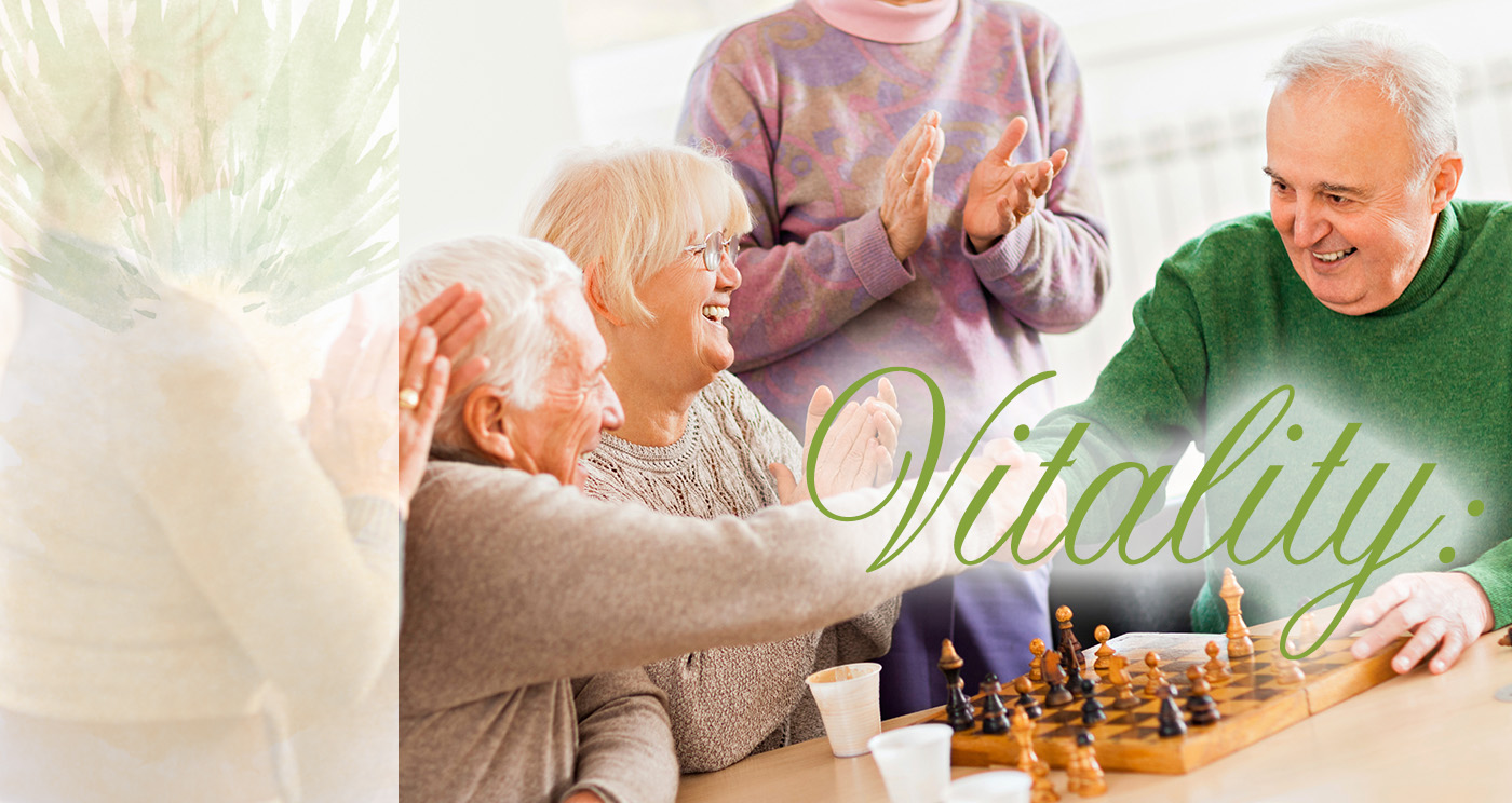 Retirement Communities Lynchburg Va The Legacy At North Augusta
